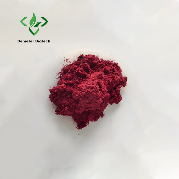 Black carrot juice concentrate powder (1)