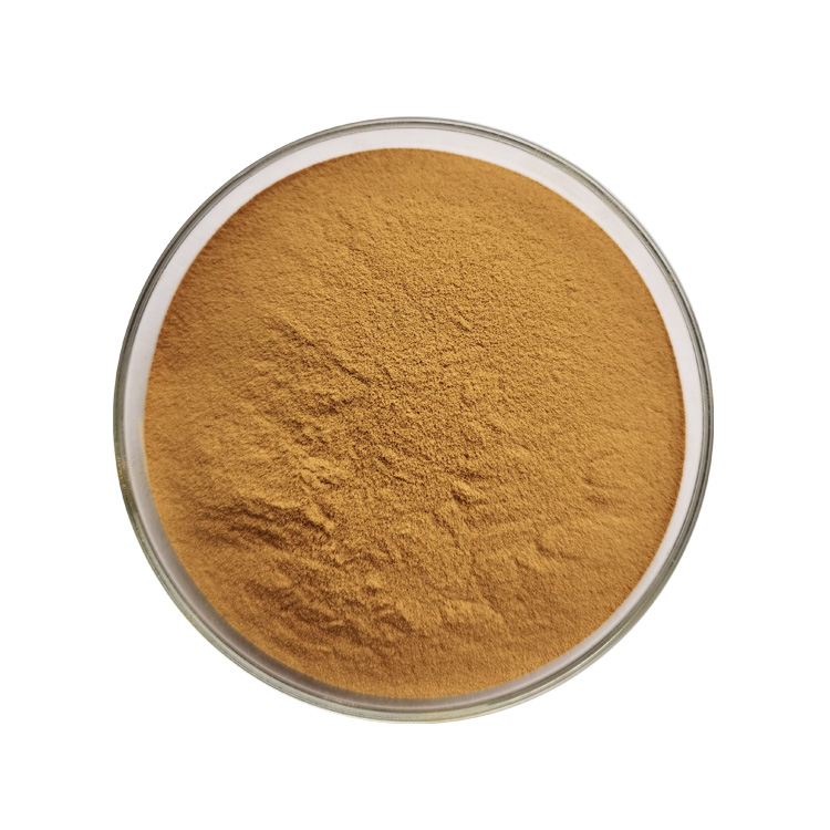 Cinnamon Bark Extract (2)