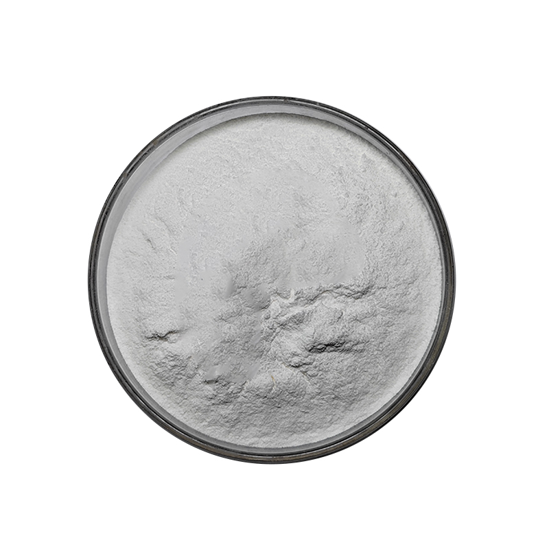 Lactase Enzyme Powder (2)