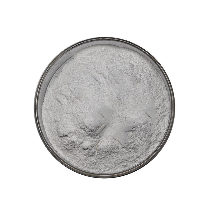 Lactase Enzyme Powder (2)