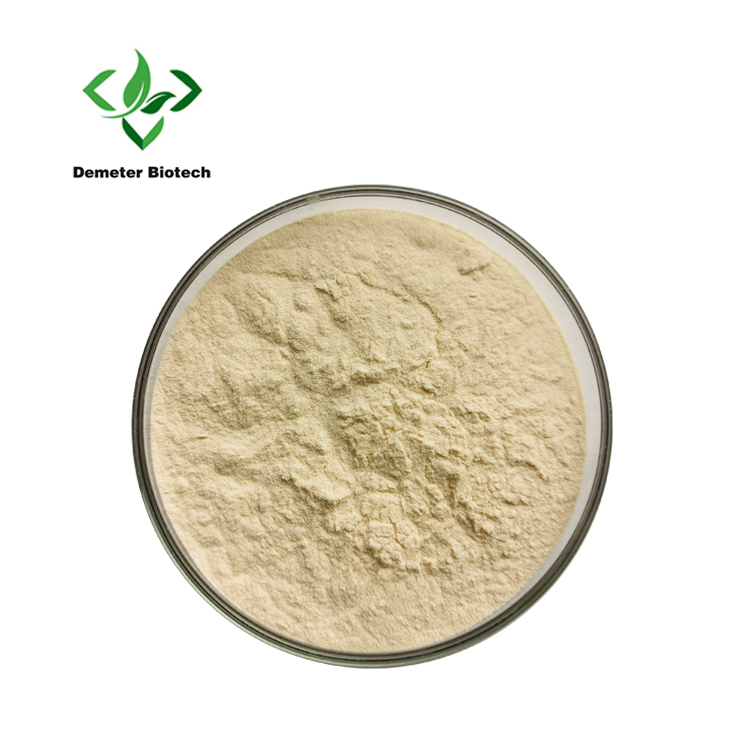 Lentil Protein Powder (1)
